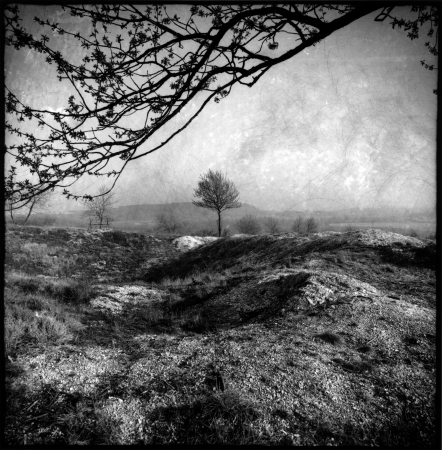 Philippe Bresson Vignette