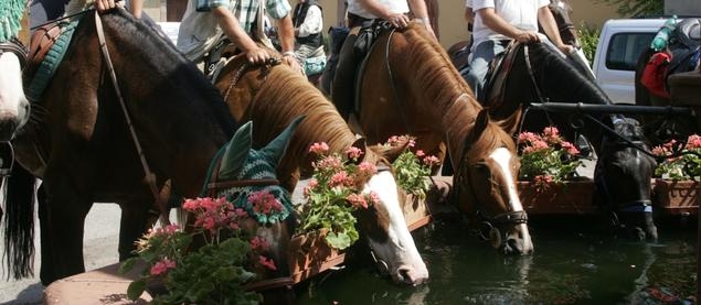 Visuel Traversée de Meulan-en-Yvelines à cheval Vignette