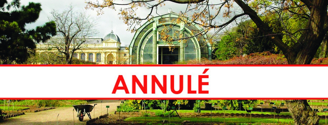 musee Vignette