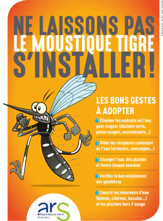 Moustique tigre